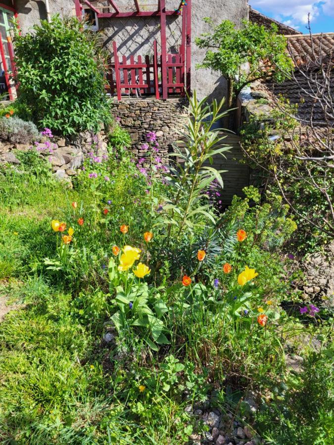 Gites Chez Daniel "Cevennes 1" Mars  Exterior foto