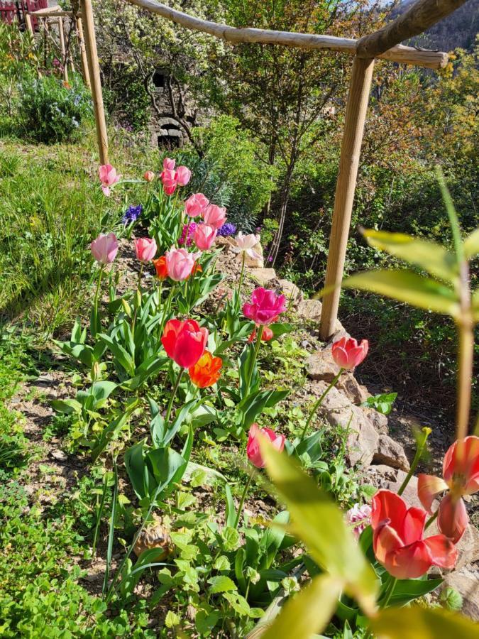 Gites Chez Daniel "Cevennes 1" Mars  Exterior foto
