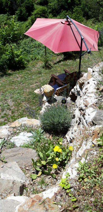 Gites Chez Daniel "Cevennes 1" Mars  Exterior foto