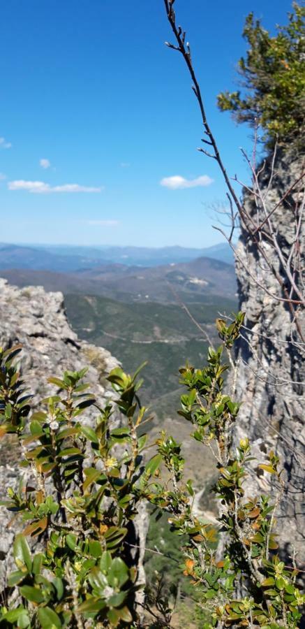 Gites Chez Daniel "Cevennes 1" Mars  Exterior foto