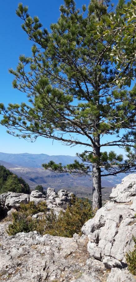 Gites Chez Daniel "Cevennes 1" Mars  Exterior foto